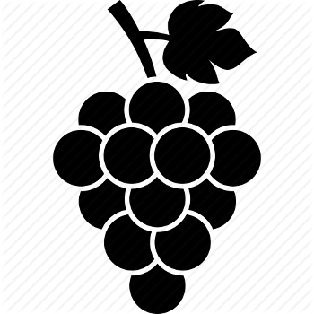 Wine Grapes, Popular Brands, Learn About Wine Grapes From World Vineyards