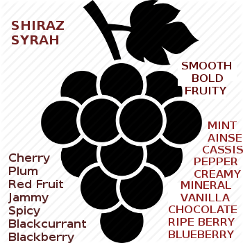 Learn About Shiraz Wines, Tasting Notes, Popular Brands