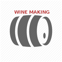 Wine Making, Learn About Wine Making, How Brand Name Wine is Made